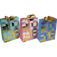 Пакет подарунковий папер. 18х23х8см,4 види №2234S/460858/Лідер/(12)
