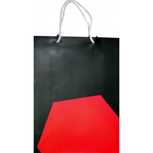 Пакет подарунковий папер. 24,5х9,5х32см мікс,4 види №P-L005/461503/Лідер/(12)