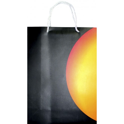 Пакет подарунковий папер. 24,5х9,5х32см мікс,4 види №P-L005/461503/Лідер/(12)