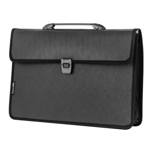 Портфель "Economix" №E31606 В4 пласт. 2від.(10)