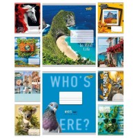 Зошит 48арк. кліт. /ТВ/ "Мікс 4" №ТА61510(10)(200)