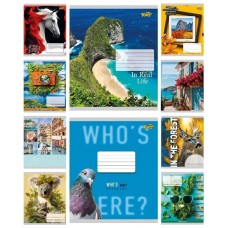 Зошит 48арк. кліт. /ТВ/ "Мікс 4" №ТА61510(10)(200)