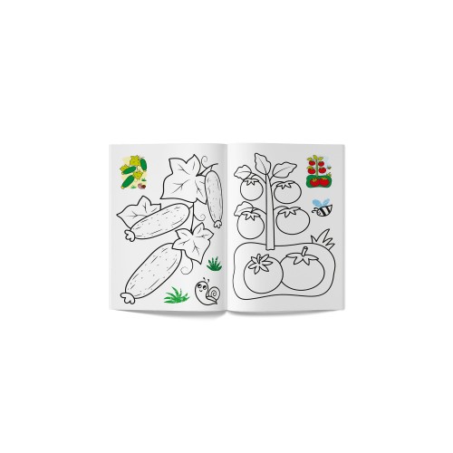 Книга А5 "Кольорованка. Овочі" №6291/Кристал Бук/(50)