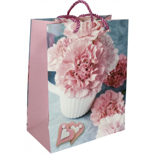 Пакет подарунковий папер. 18х23х8,5см, 3D,4 види №287-M/461664/Leader/(12)