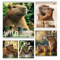 Зошит 18арк. лін. /ТВ/ "Капібара" №ТА62202(20)(400)