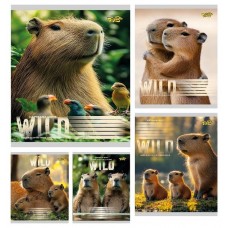 Зошит 18арк. лін. /ТВ/ "Капібара" №ТА62202(20)(400)