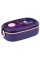 Ланч бокс пласт. "Kite" 900мл Kuromi з наповненням,фіолетовий №HK25-1180