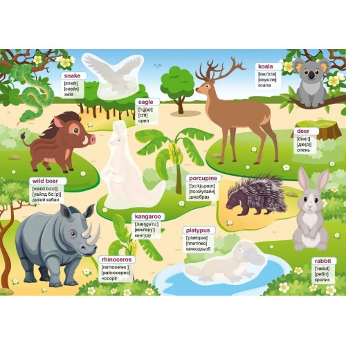 Книжка А4 "Вивчаємо англійську: Зоопарк" №3314/Талант/(24)