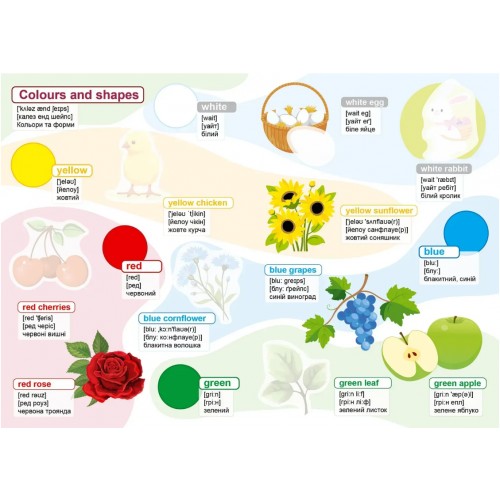 Книжка А4 "Вивчаємо англійську: Кольори" №3321/Талант/(24)