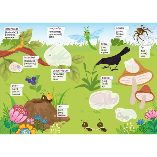 Книжка А4 "Вивчаємо англійську: Ферма" №3307/Талант/(24)