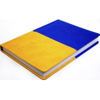 Щоден. А5 "Economix" недат. Vivela жовто-блакитний №E22062-98(20)