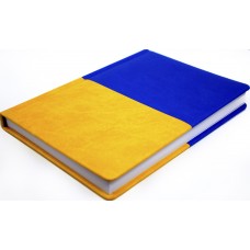 Щоден. А5 "Economix" недат. Vivela жовто-блакитний №E22062-98(20)