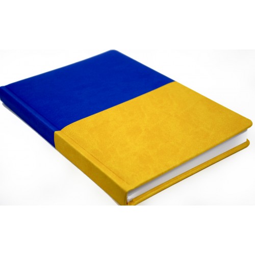 Щоден. А5 "Economix" недат. Vivela жовто-блакитний №E22062-98(20)