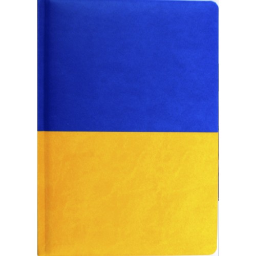 Щоден. А5 "Economix" недат. Vivela жовто-блакитний №E22062-98(20)