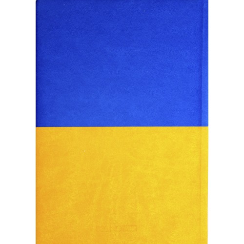 Щоден. А5 "Economix" недат. Vivela жовто-блакитний №E22062-98(20)