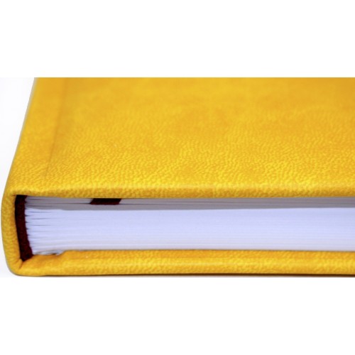 Щоден. А5 "Economix" недат. Vivela жовто-блакитний №E22062-98(20)