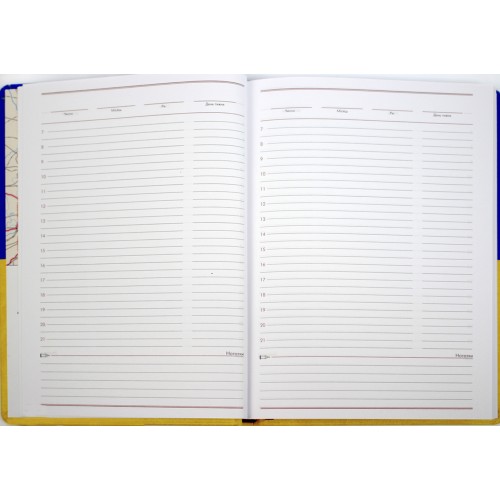 Щоден. А5 "Economix" недат. Vivela жовто-блакитний №E22062-98(20)