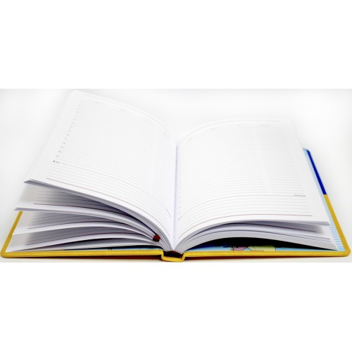 Щоден. А5 "Economix" недат. Vivela жовто-блакитний №E22062-98(20)