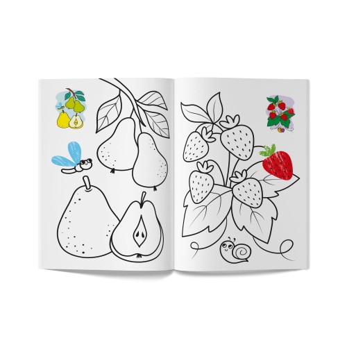 Книга А5 "Кольорованка. Фрукти" №6246/Кристал Бук/(50)