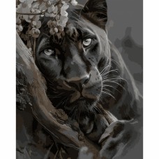 Картини по номерах "Santi" Чорна пантера 40х50см №955763