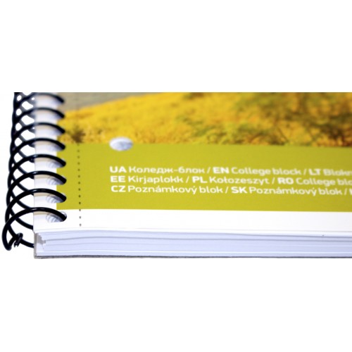 Коледж-блок А4 80арк. кліт. "Student" ВД-лак №A4-080-6529K/Школярик/(4)(36)
