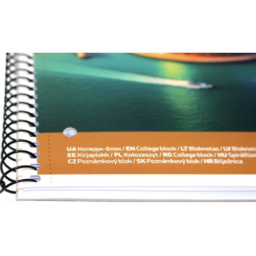 Коледж-блок А4 80арк. кліт. "Student" ВД-лак №A4-080-6531K/Школярик/(4)(36)