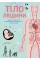 Книжка А5 "Тіло людини" №7029/Vivat/(20)
