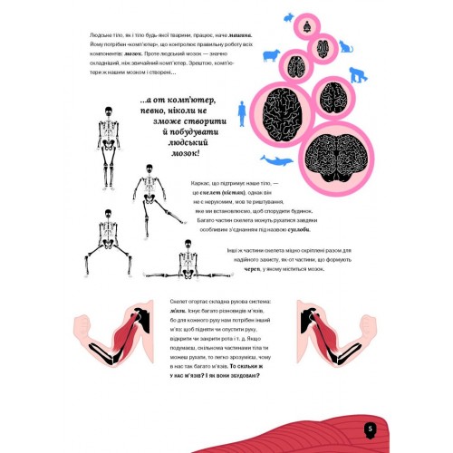 Книжка А5 "Тіло людини" №7029/Vivat/(20)