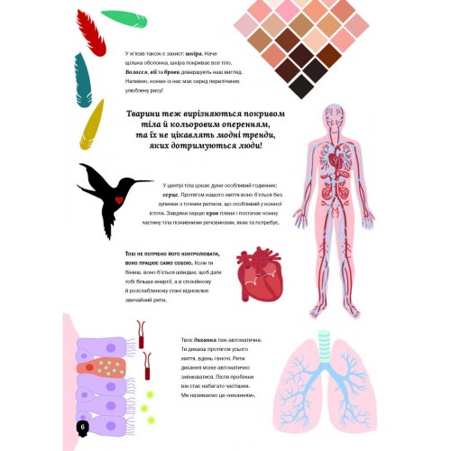Книжка А5 "Тіло людини" №7029/Vivat/(20)