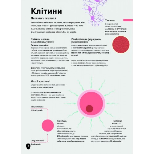 Книжка А5 "Тіло людини" №7029/Vivat/(20)