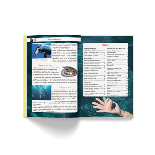 Книжка А4 "Велика книжка. Чомучки" №8638 тв. обкл./Кристал Бук/(8)