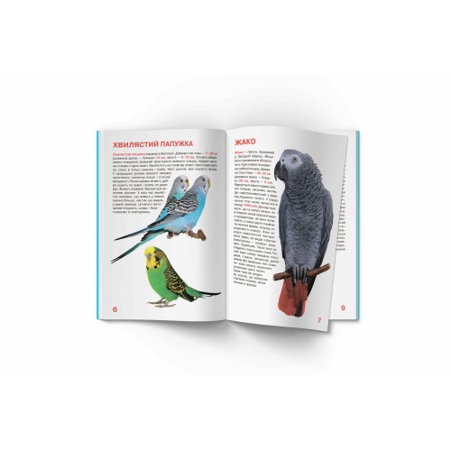 Книжка В4 "Велика книжка. Папуги" №8283/Кристал Бук/(30)