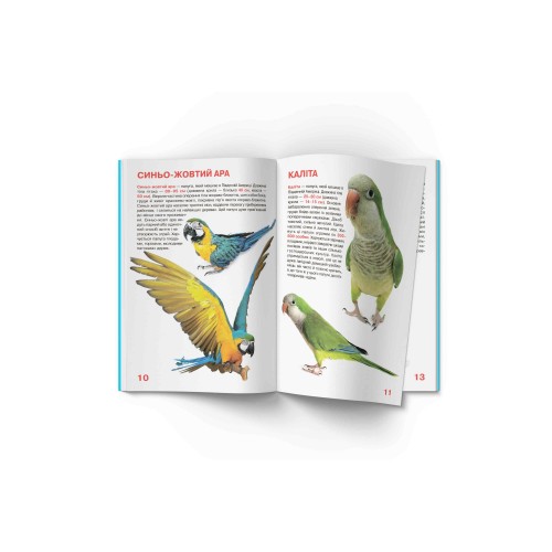 Книжка В4 "Велика книжка. Папуги" №8283/Кристал Бук/(30)