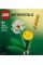 Конструктор "LEGO" Botanicals Польові квіти №30701