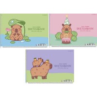 Альбом для малюв. на пруж. 20/100 А4 "Star" №PB-SC-020-8561/Школярик/(9)(108)