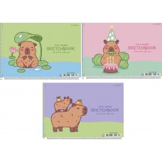 Альбом для малюв. на пруж. 20/100 А4 "Star" №PB-SC-020-8561/Школярик/(9)(108)