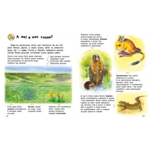 Енциклопедія А4 "Енциклопедія дошкільника (нова) : Україна №С614044У/9948/Ранок/(20)