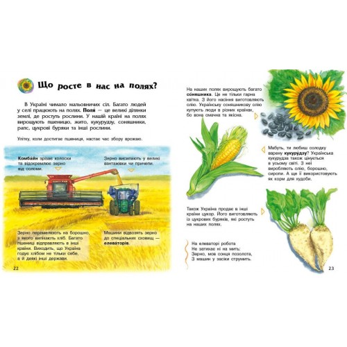 Енциклопедія А4 "Енциклопедія дошкільника (нова) : Україна №С614044У/9948/Ранок/(20)