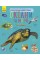 Енциклопедія дошкільника В5 м'як."Океани та моря"(укр.) №3489/Ранок/(20)