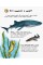 Енциклопедія дошкільника В5 м'як."Океани та моря"(укр.) №3489/Ранок/(20)