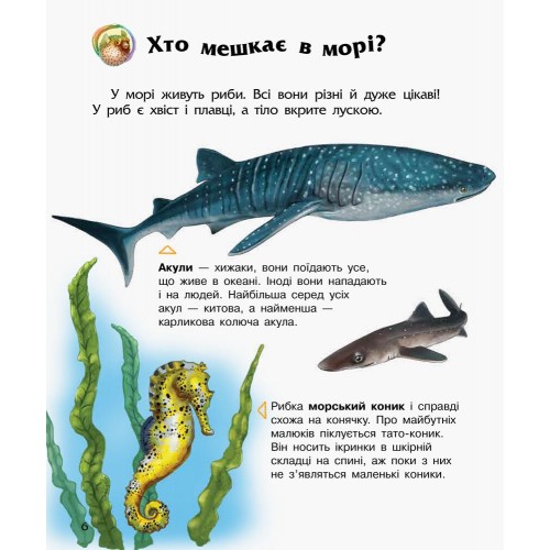 Енциклопедія дошкільника В5 м'як."Океани та моря"(укр.) №3489/Ранок/(20)
