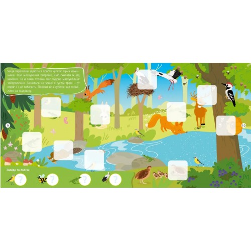 Книжка А4 "Хто тут заховався : У лісі й на луці"/Талант/(24)