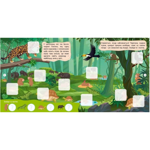 Книжка А4 "Хто тут заховався : У тропічному лісі"/Талант/(24)