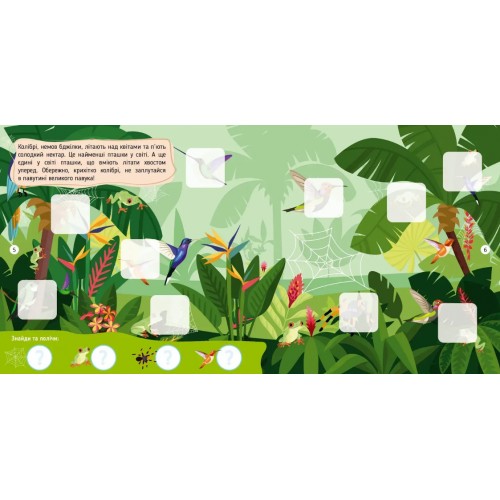 Книжка А4 "Хто тут заховався : У тропічному лісі"/Талант/(24)