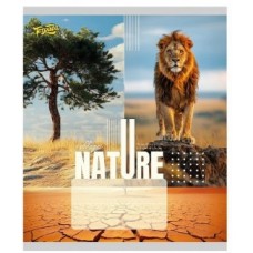 Зошит 36арк. лін. /ТВ/ "Природа" №ТА62402(20)(240)