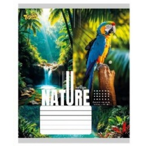 Зошит 36арк. лін. /ТВ/ "Природа" №ТА62402(20)(240)