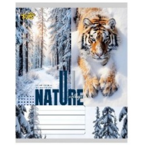 Зошит 36арк. лін. /ТВ/ "Природа" №ТА62402(20)(240)