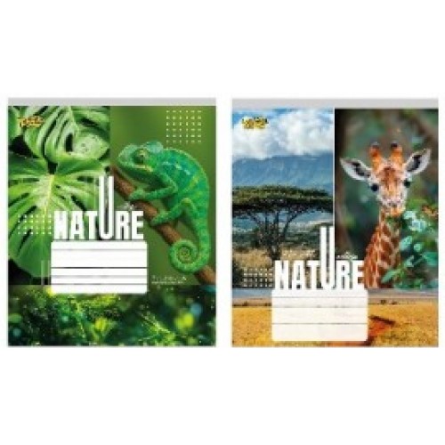 Зошит 36арк. лін. /ТВ/ "Природа" №ТА62402(20)(240)