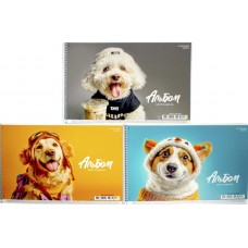 Альбом для малюв. на пруж. 20/100 А4 "Star" №PB-SC-020-8567/Школярик/(9)(108)