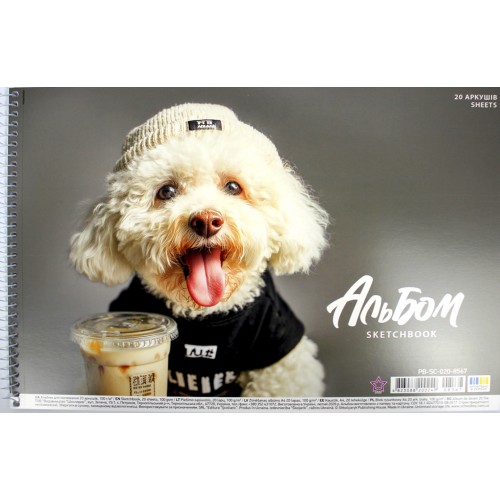 Альбом для малюв. на пруж. 20/100 А4 "Star" №PB-SC-020-8567/Школярик/(9)(108)